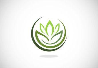 Green Lotus Flower Logo - Lotus Logo Photo, Royalty Free Image, Graphics, Vectors & Videos