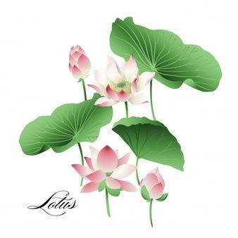 Green Lotus Flower Logo - Lotus Vectors, Photo and PSD files