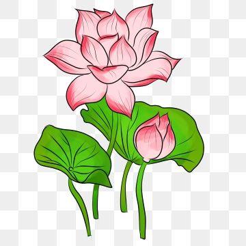 Green Lotus Flower Logo - Lotus Flower PNG Image. Vectors and PSD Files