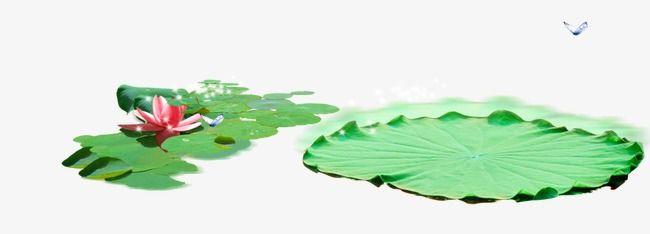 Green Lotus Flower Logo - Lotus Leaf, Green, Lotus PNG and PSD File for Free Download