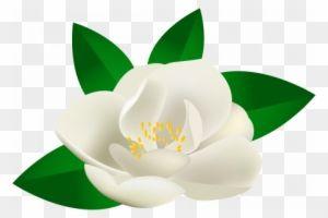 Green Lotus Flower Logo - Lotus Clipart Teratai - Green Lotus Flower Logo - Free Transparent ...
