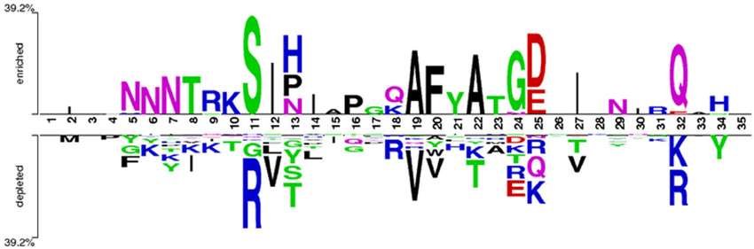 Two N Logo - The two sample logo of R5- (N = 1525) and X4-tropic (N = 408) V3 ...