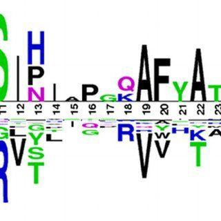 Two N Logo - The Two Sample Logo Of R5 (N = 1525) And X4 Tropic (N = 408) V3