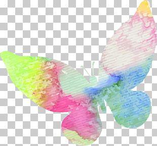 Multicolored Butterfly Logo - Page 4 | 3,949 vector Butterfly PNG cliparts for free download | UIHere