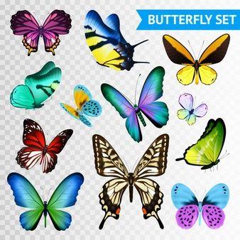 Multicolored Butterfly Logo - Butterfly Vectors, Photos and PSD files | Free Download