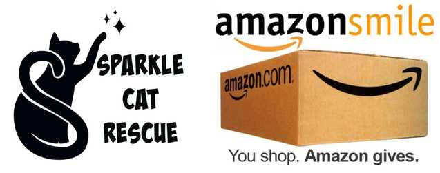 Amazon Smile Foundation Logo - AMAZON SMILE
