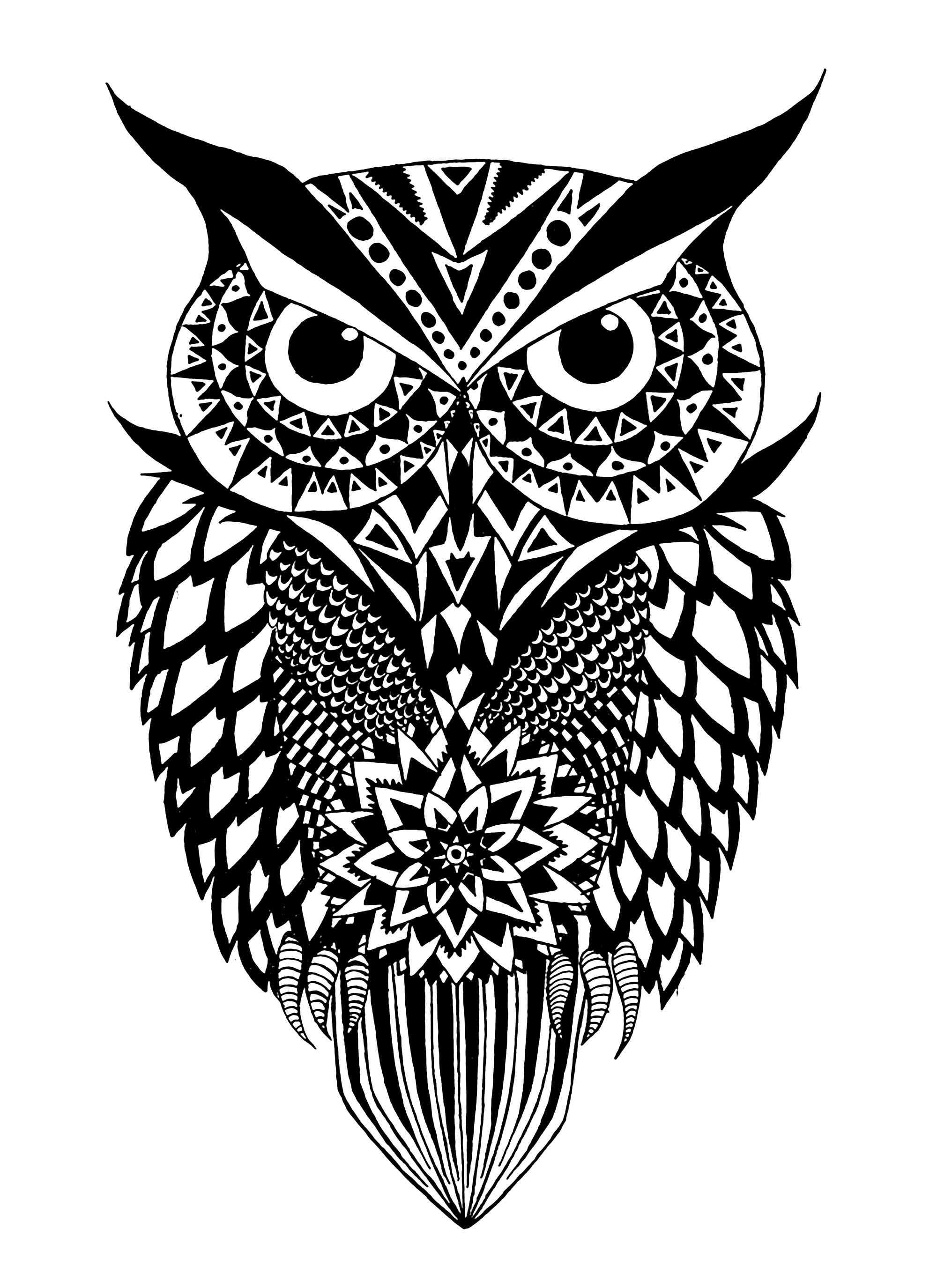 Black and White Owl Logo - Black and white owl