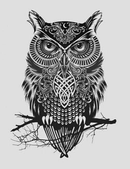 Black and White Owl Logo - Owl Drawings. Owl drawing, Black and white owl drawing. Projects