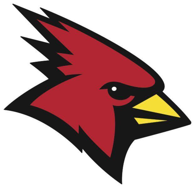 Bird Choking Cardinal Basketball Logo