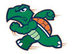 Turtle Sports Logo - Turtle Shield Logo | Sports logo's | Logos, Logo design, Shield logo