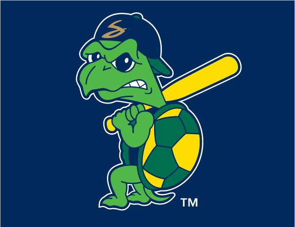 Turtle Sports Logo - Chris Creamer's Sports Logos Page - SportsLogos.Net - http://www ...