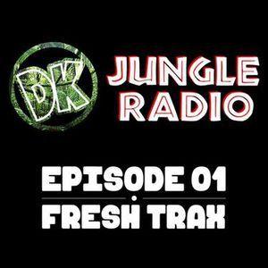Dylan King Logo - Jungle Radio 01 - Fresh Trax by Dylan King | Mixcloud