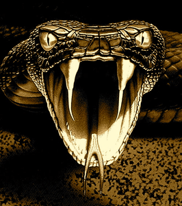Viper Snake Logo - Viper Snake | Free Images at Clker.com - vector clip art online ...