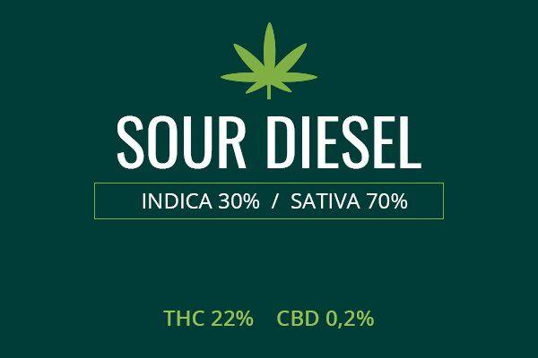 Sour D Logo - Marijuana Sour Diesel Strain Review