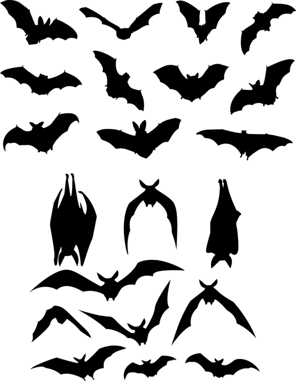 Bat Silhouette Images for Logo - Bat flight Silhouette Logo free commercial clipart, Silhouette