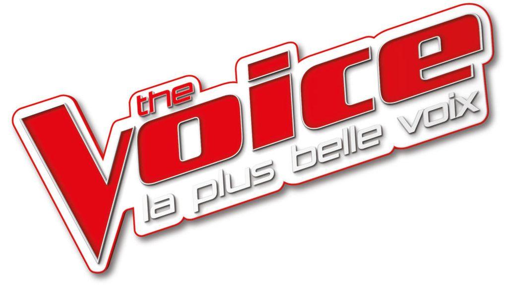 The Voice Logo - Fichier:Logo-de-The-Voice exact1024x768 l.jpg — Wikipédia