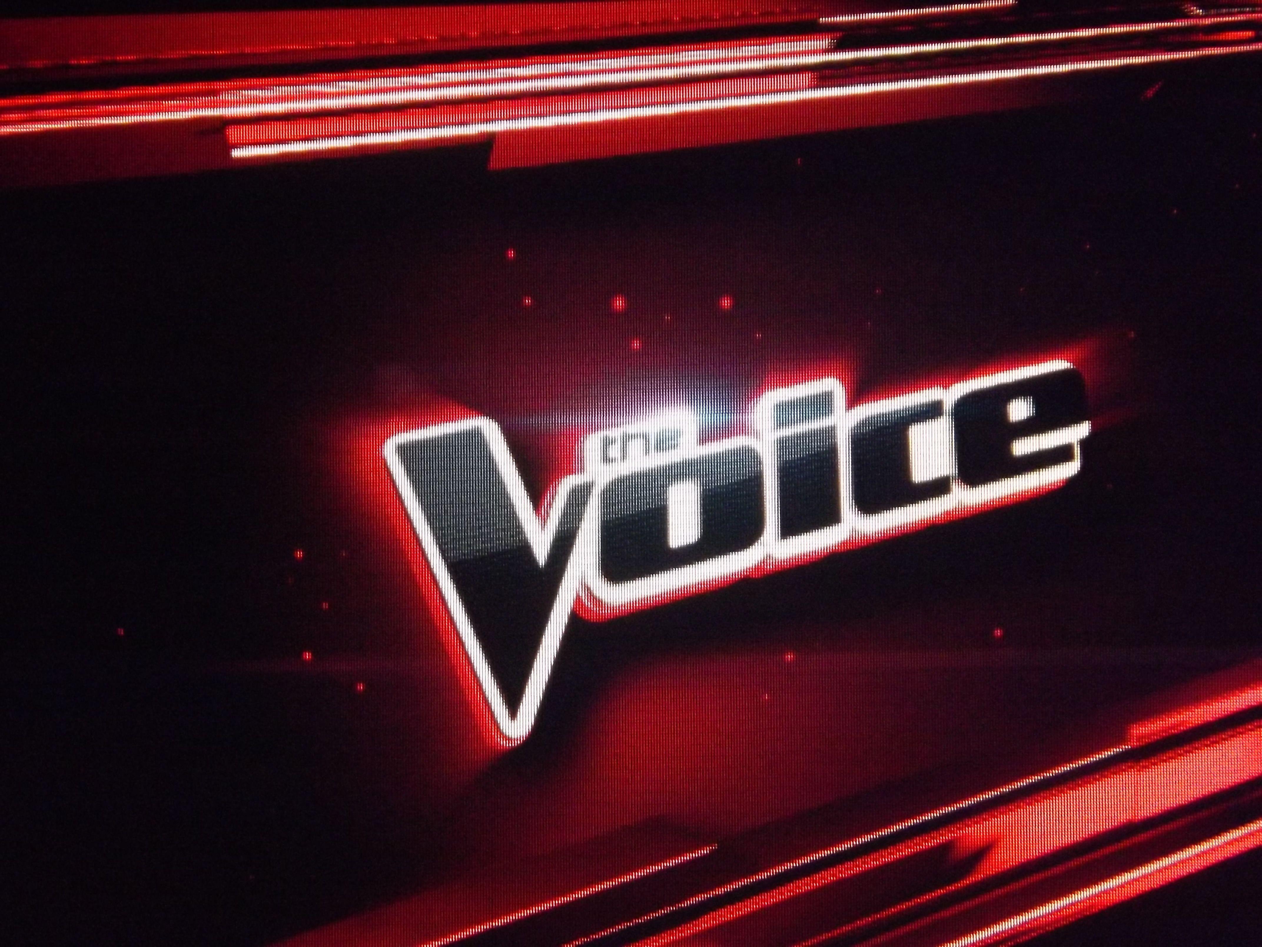 The Voice Logo - The Voice