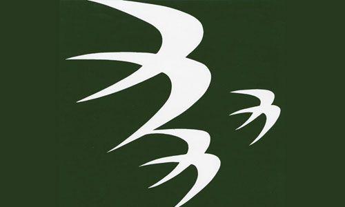 Green Airline Logo - Ozark Air Lines | hobbyDB