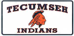 Tecumseh Indians Logo - Mrs. Atkin's Science Page