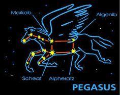 Pegasus Stars Logo - Pegasus Games – Games You Never Outgrow
