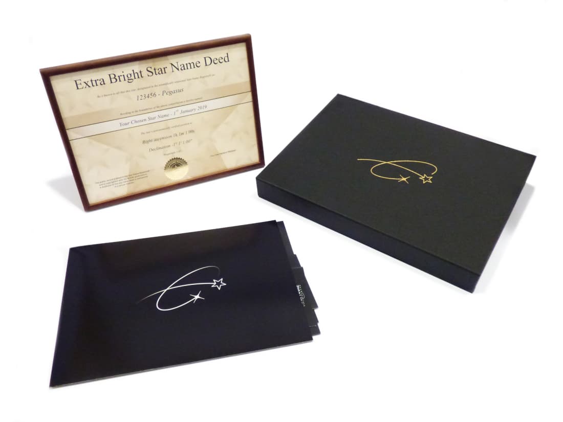 Pegasus Stars Logo - Gallery