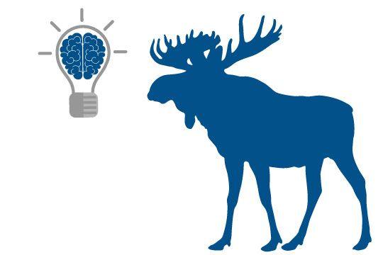 blue moose logo