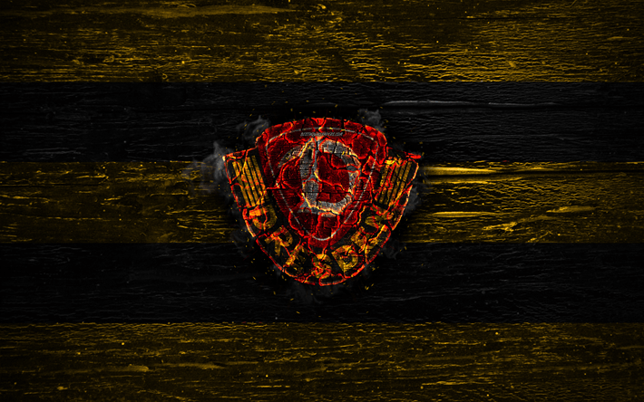 Yellow Fire Logo - Download wallpaper Dynamo Dresden FC, fire logo, Bundesliga 2
