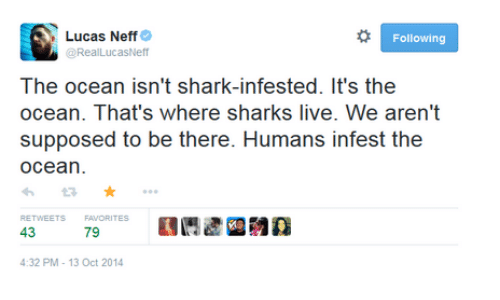 Funny Neff Logo - O Following Lucas Neff RealLucasNeff the Ocean Isn't Shark-Infested ...