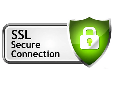 Secure Website Logo - Web Security, Website Security, SSL