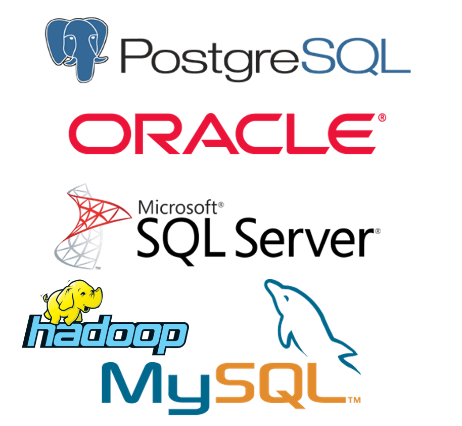 SQL Server Database Logo - Home - The Database Pros