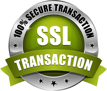 Secure Website Logo - Website Security 101