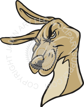 Cool Kangaroo Logo - Cool Kangaroo head