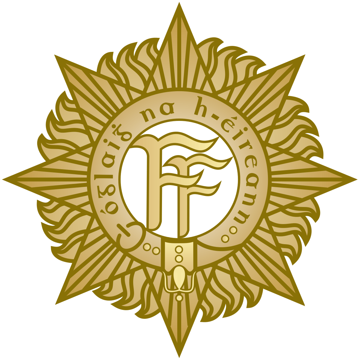 European Military Logo - Statement to the Dáil on the state of the Defence Forces