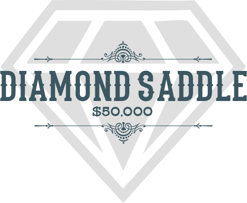 Diamond Stars Logo - diamond - Stars and Spurs
