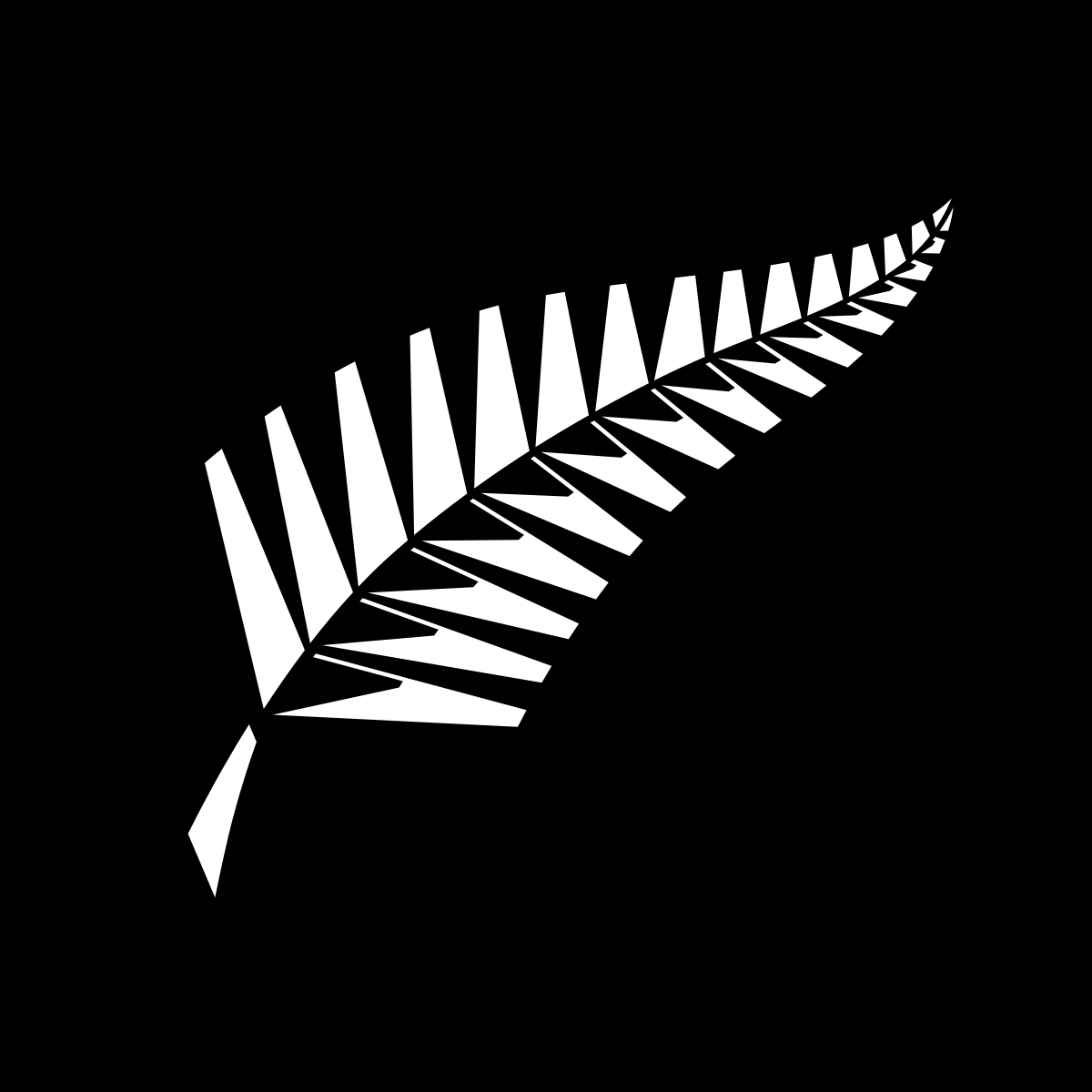 Black and White Team Logo - New Zealand national cricket team