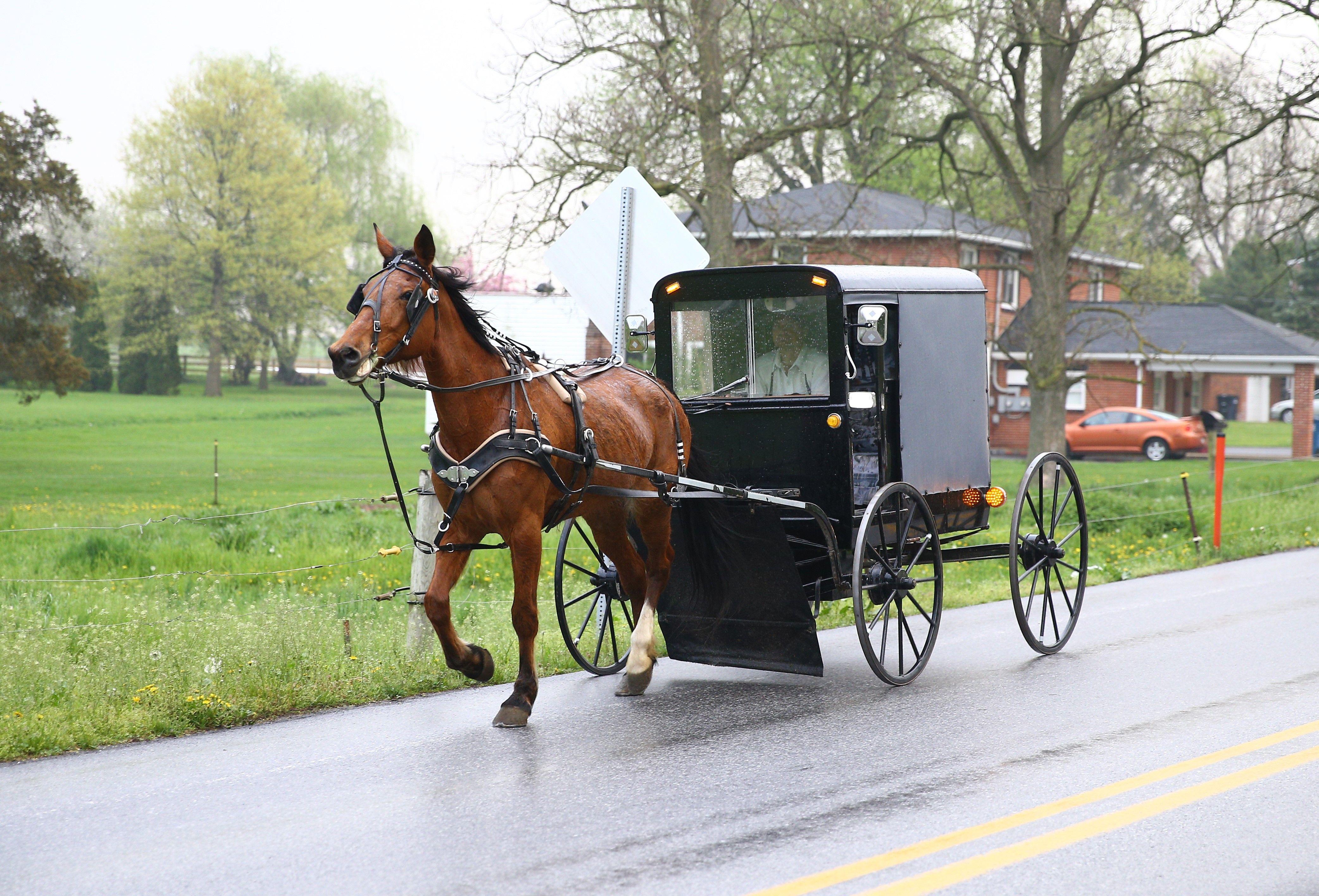 Horse and Buggy Logo - Amish Uber Is the Horse and Buggy Ride You're Expecting | Time