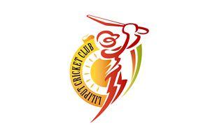 Cricket Sport Logo - Sports & Athletics Logo Design. Sports Logos Explained. Logo