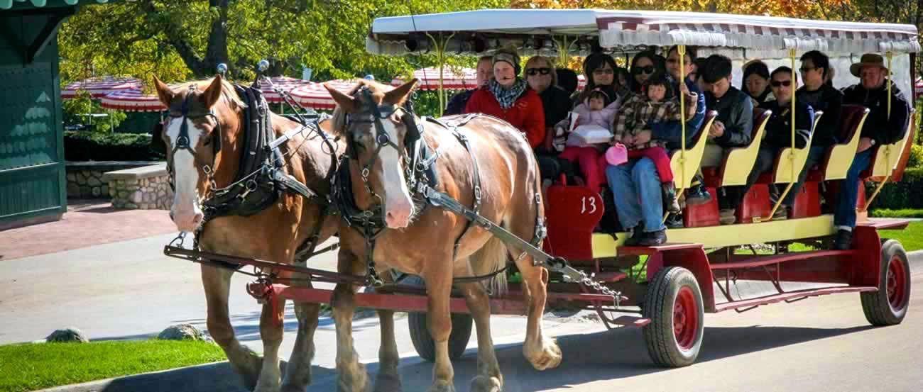 Horse and Buggy Logo - Tour Mackinac Island on a Mackinac Island Carriage Tour