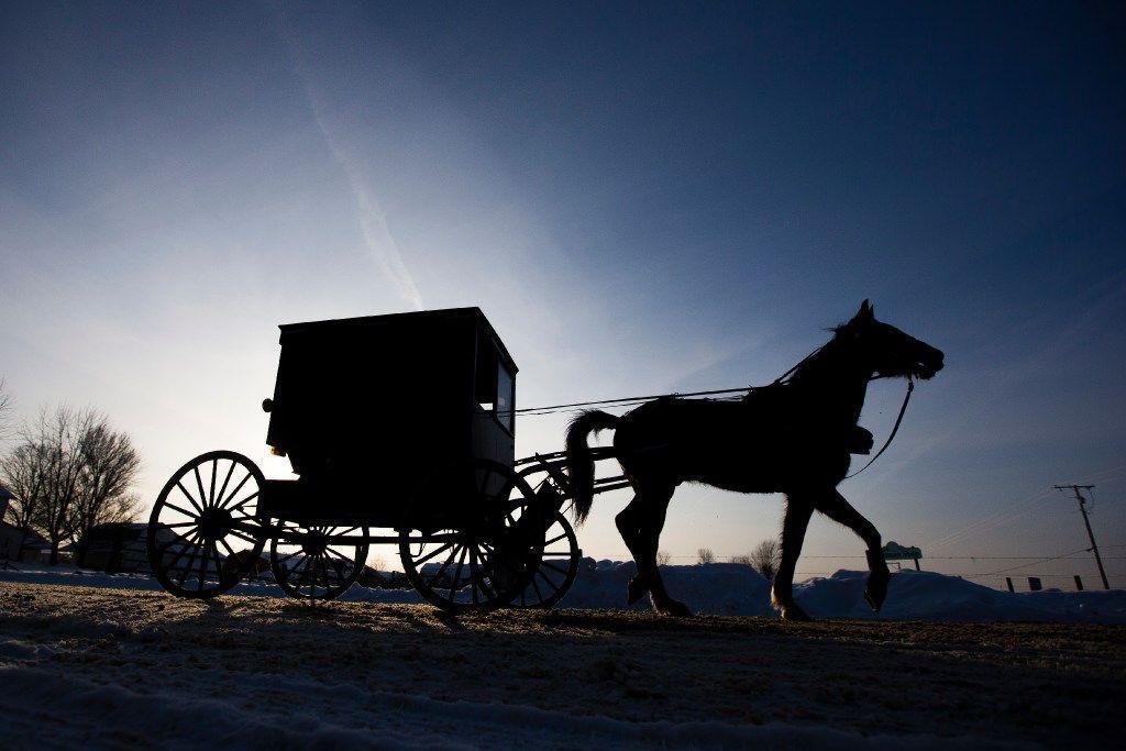 Horse and Buggy Logo - New horse-and-buggy lanes coming to Elkhart County | Public Safety ...