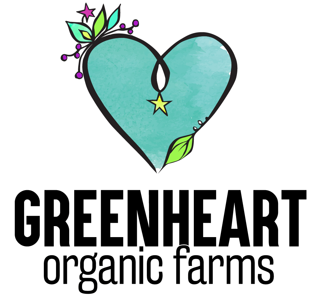 Blue and Green Heart Logo - About us - Green Heart Story