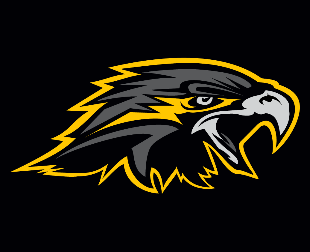 Nighthawks Logo - Wichita Falls Nighthawks Secondary Logo - Indoor Football League ...