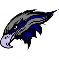 Nighthawks Logo - Youngstown Nighthawks