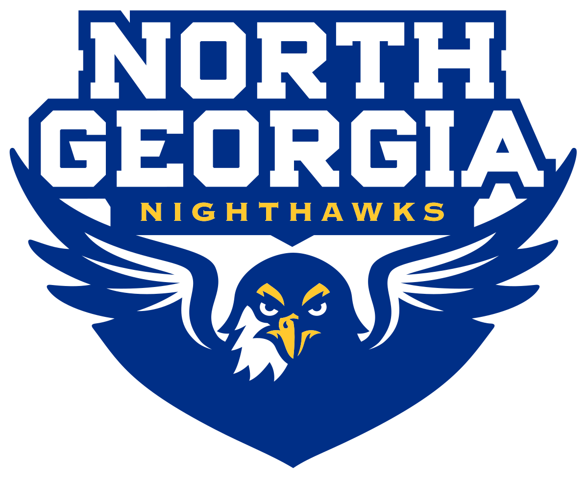 Nighthawks Logo - North Georgia Nighthawks