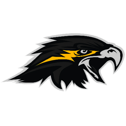 Nighthawks Logo - Wichita Falls Nighthawks Logo - Roblox