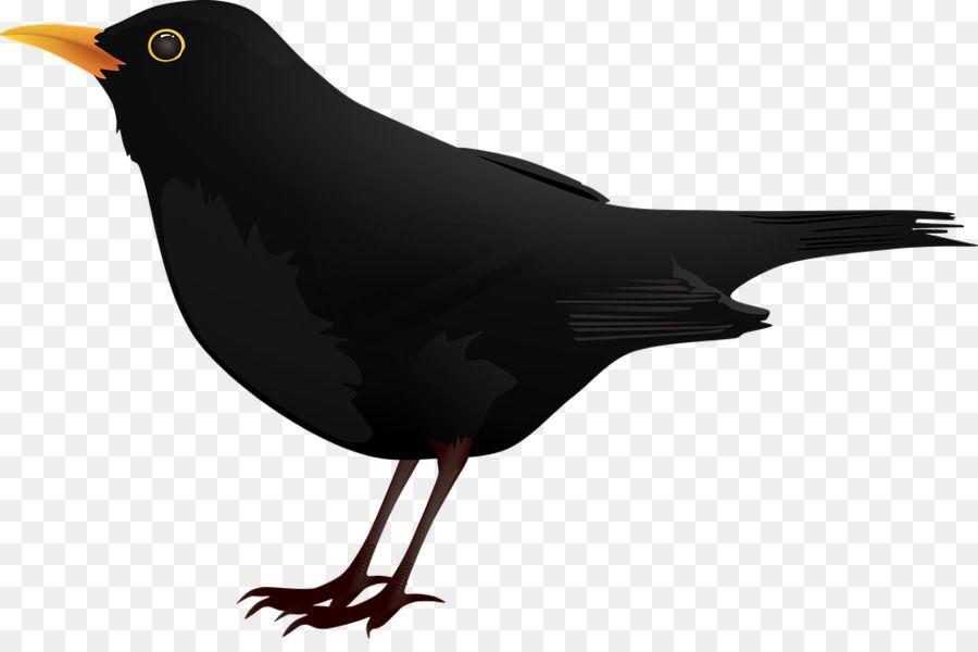 Black Bird Cartoon Logo - Blackbird Clip art - Cartoon black crow png download - 960*627 ...