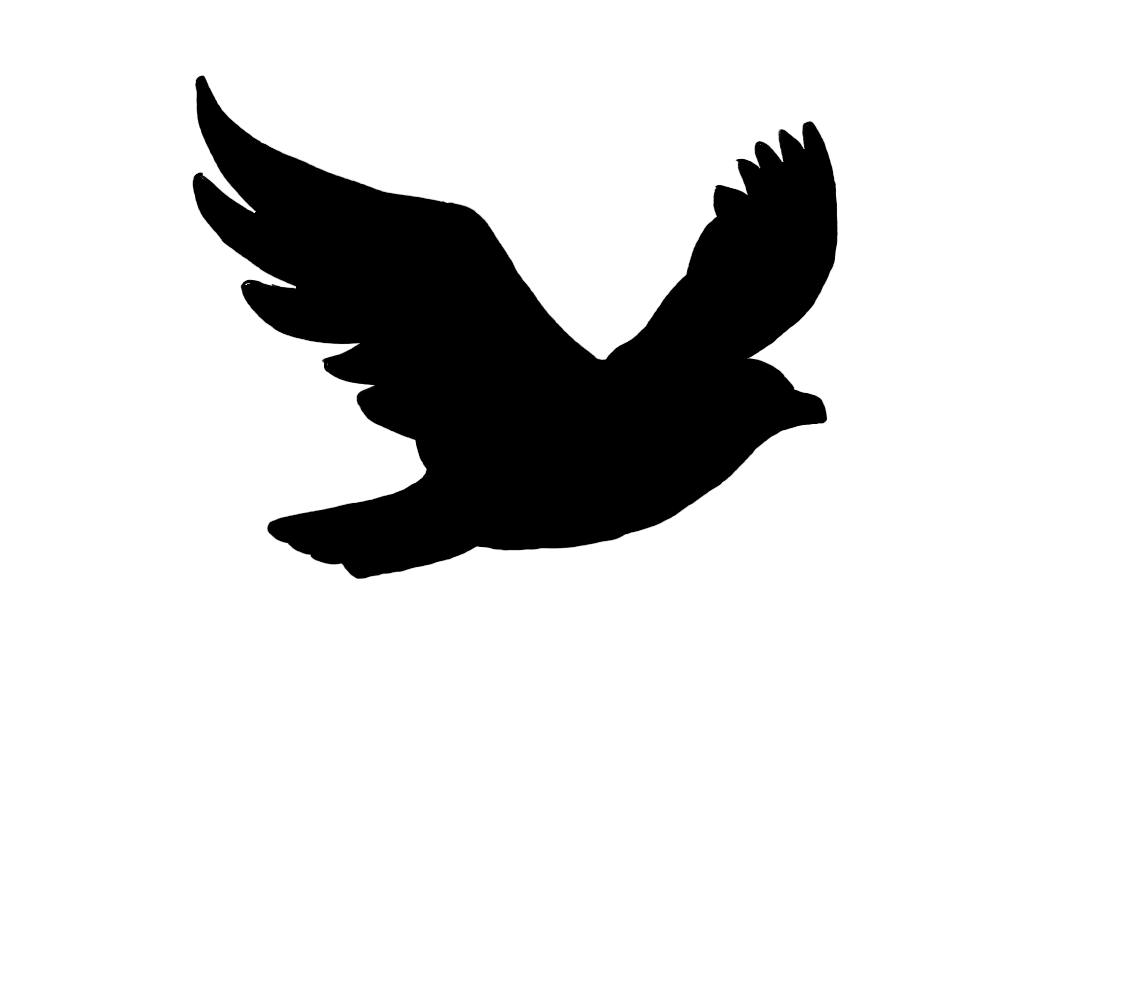 Black Bird Cartoon Logo - Free Flying Bird Png, Download Free Clip Art, Free Clip Art on ...
