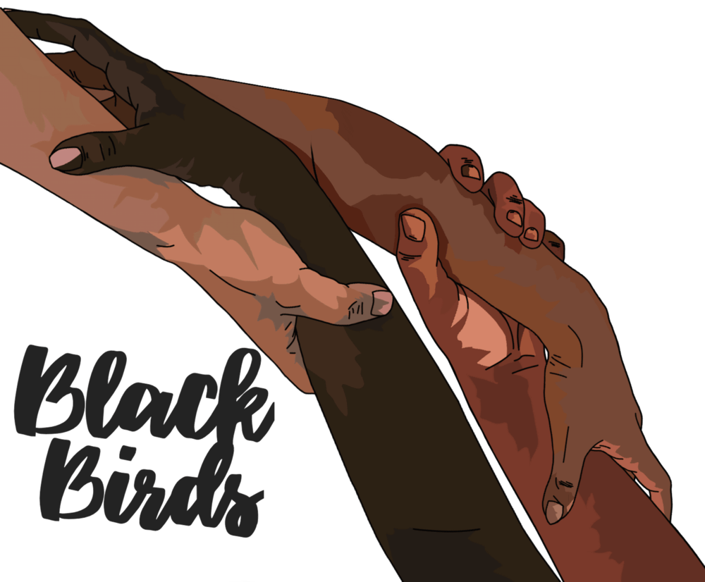 Black Bird Cartoon Logo - HOME — Black Birds Creative Arts Co.