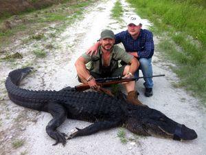 Alligator Hunter Logo - Alligator Hunting Land Hunts and Rates