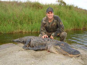 Alligator Hunter Logo - Alligator Hunting in Florida, state hunting laws and restrictions