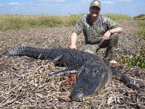 Alligator Hunter Logo - Alligator Hunting in Florida, state hunting laws and restrictions